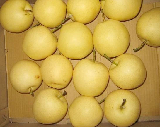 Delicious Crown Pear