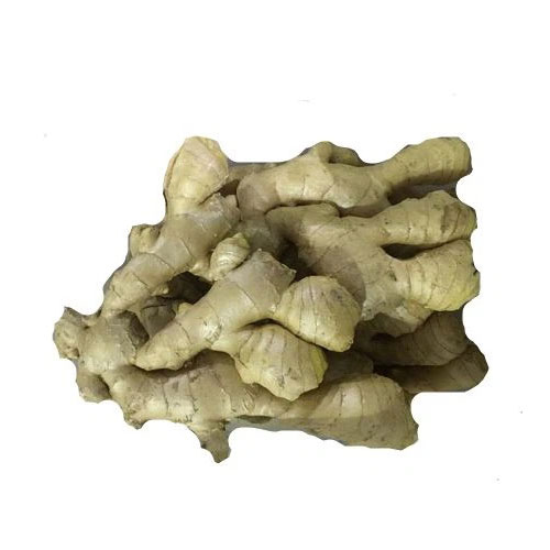 Dried Ginger for Cooking