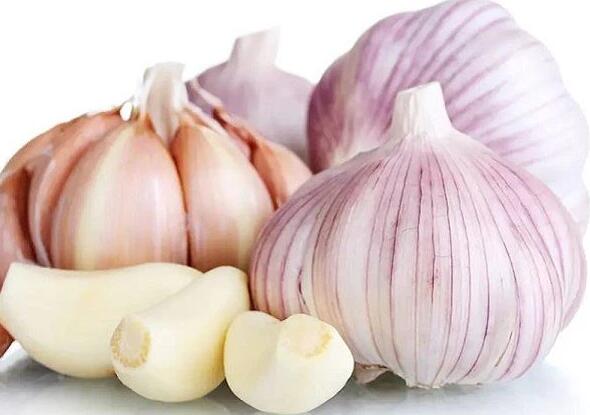 Fresh Garlic Will Be On The Market In 2023