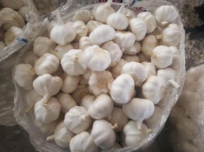 How To Store Garlic