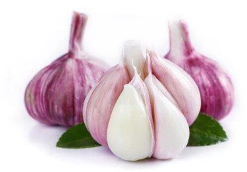 New Garlic Is About To Be Launched