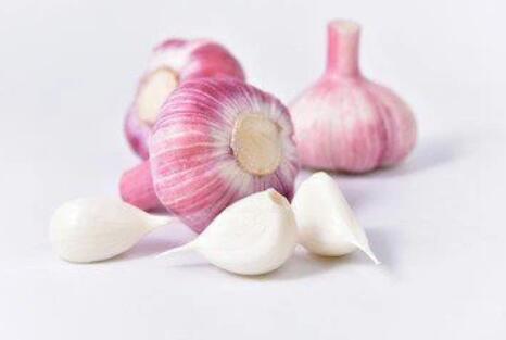 New Fresh Garlic 2022