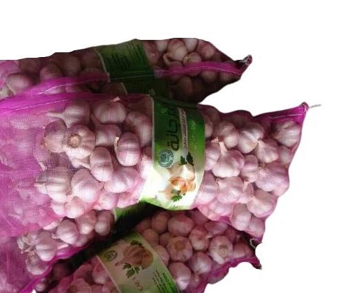 Normal White Garlic In Mesh Bag
